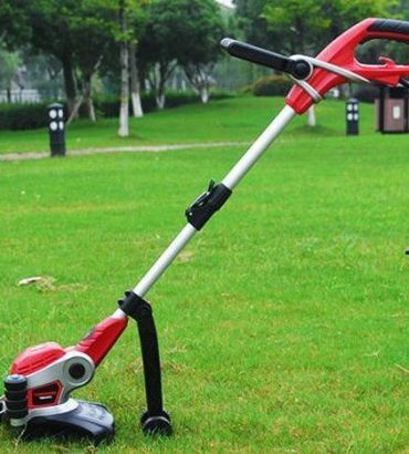 Small Grass Trimmer Lawn Mower Electric Garden Grass Trimmer 700w 220V
